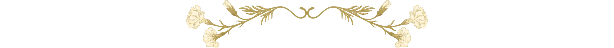 Vines Divider
